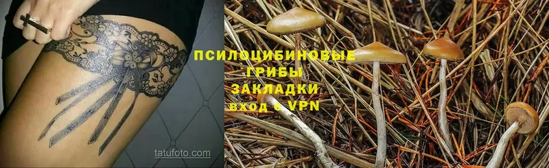 kraken ONION  Наволоки  Псилоцибиновые грибы Psilocybine cubensis  где продают  